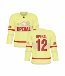 Maillots de hockey sur glace rétro personnalisés, vêtements d'équipe de sport rétro, polyester, avec design imprimé par sublimation - Product Image 4