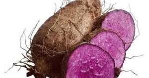 มันม่วงเวียดนามแช่แข็ง ปลูกตามธรรมชาติเพื่อการใช้งานเชิงพาณิชย์ สำหรับทำเบเกอรี่ สมูทตี้ สูตรขนมหวาน และเพื่อการส่งออกอาหาร - Product Image 4