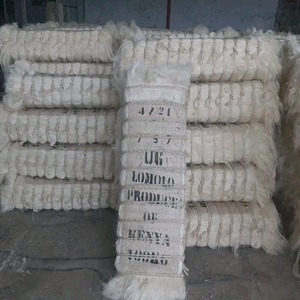 Fibra de Sisal, Material de Fibra Vegetal Duradero para Aplicaciones Textiles, Cordones, Alfombras y Productos Decorativos - Product Image 2