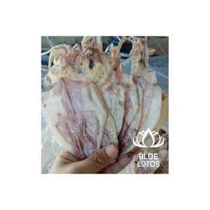 Vietnam Suppliers Raw Unsalt <b>Squid</b> Exporting in Bulk No Additive Wholesale Best Price Premium Quality <b>Dried</b> <b>Squid</b> From - Product Image 1