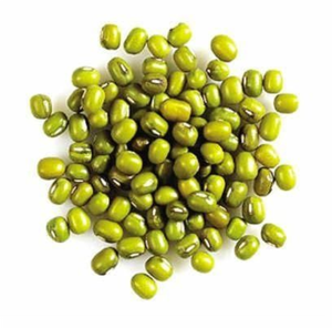 Millet vert indien de qualité supérieure qualité exportée - Product Image 1