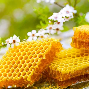 纯花蜂蜜-未经过滤的原料，直接从蜂巢获得天然的甜味和甜味