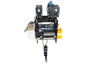 Polipasto de cable curvo de 2 toneladas |   Elevador de 6 Metros |   Cuerda de 10 mm para Otoño (2 Unidades) |   Sistema de Elevación para Grúa EOT con Caja de Cambios Elecon PBL de Neptune Motor - Product Image 4