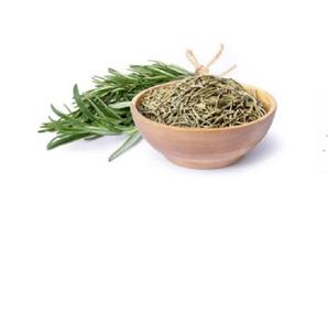 Extrait de plante de feuilles de romarin séchées cultivées en Inde - Product Image 6