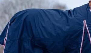 Couverture de tapis de cheval en coton polyester durable bleu marine Protection contre la pluie d'équitation imperméable et respirante toute l'année - Product Image 2