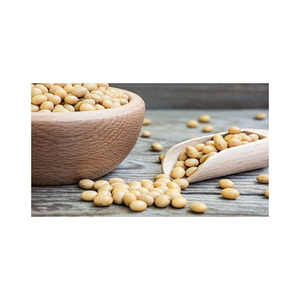 Soja-Soja Graine de soja sèche jaune de haute qualité sans OGM NON-GMO les fèves de soja - Product Image 4