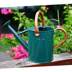 Regadera de hierro minimalista con acabado azul cielo recubierto de polvo, lo mejor para apartamentos pequeños, cuidado y estilismo de plantas - Product Image 1