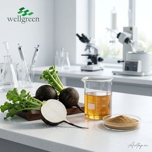 Muestra Gratuita, Precio al por Mayor, Extracto de Rábano Negro en Polvo 10:1 - Product Image 2
