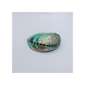 Natural <b>abalone</b> <b>shell</b> for bathroom decoration, supplied to spa hotels wholesale, durable, environmentally friendly - Product Image 3