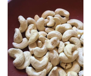 2024 CALIENTE NÚCLEO DE ANCÁNDAR BLANCO FRESCO DE VIETNAM CON BUEN PRECIO EN EL MERCADO - Product Image 3