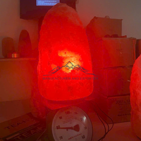 Lampe de sel de l'Himalaya JOBAK extra large 75-125 kg, style Feng Shui, sculptée à la main, qualité supérieure, purificateur d'air, toucher réel, livraison rapide