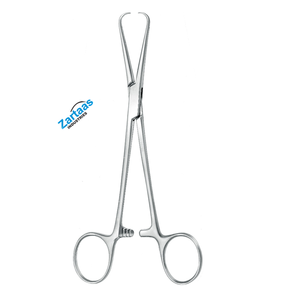 Fórceps de toalla Bernhard de acero inoxidable de alta calidad, fabricante de instrumentos quirúrgicos de 16,5 cm/6,25 pulgadas - Product Image 1