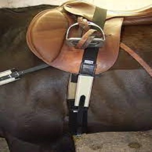 Circunferencia de nailon negro duradero para productos de equitación de caballos con función de cuero para montar a caballo - Product Image 4
