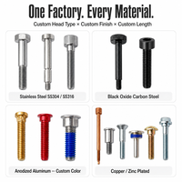 Vis de machine M2 M3 M4 M5 en acier au carbone, acier inoxydable, titane, à tête hexagonale, boutonnière, moletée, finition noire
