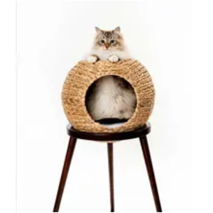 บ้านสัตว์เลี้ยงทำด้วยมือจาก expad สำหรับสัตว์เลี้ยงตามคำขอของลูกค้าในเวียดนามขายส่งกำไรสูง - Product Image 3