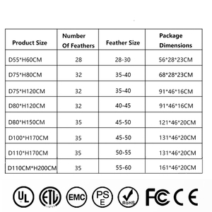 Đèn Sàn Nhựa Hiện Đại Kiểu Bắc Âu Sang Trọng Cho Phòng Ngủ Phòng Khách Đèn Led Treo Sàn Hình Đà Điểu Bằng Lông Vũ - Product Image 6