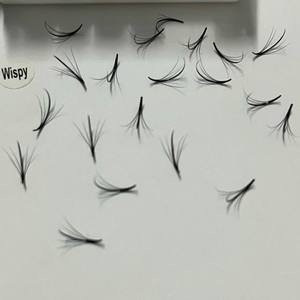 Wispy 5D 7D 9D <b>Premade</b> <b>Fan</b> Eyelash Extensions Mega Volume Natural Long Korean PBT Synthetic Fiber CC/DD/M/L Curl Customizable - Product Image 6