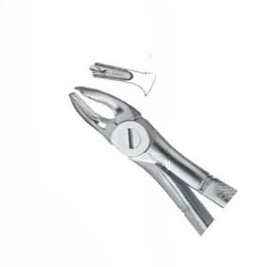 คีมถอนฟัน Fig.39เครื่องมือทางทันตกรรมทำจากสเตนเลสคุณภาพสูงโลโก้ตามสั่ง - Product Image 3