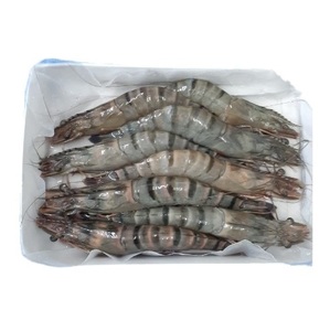 Camarones Tigre HOSO Congelados al por Mayor - Proveedor de Mariscos de Camarones Tigre a Granel - Product Image 2