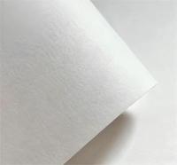 Papier absorbant blanc recyclable 1 mm 1,4 mm Haute capacité d'absorption d'eau pour sous-verres et désodorisants