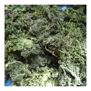 ผงสาหร่ายสีเขียวธรรมชาติสำหรับอาหาร - Product Image 3