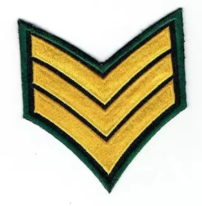 Patchs brodés Chevron uniformes de haute qualité pour les insignes de tenue de cérémonie et les insignes décoratifs Service OEM - Product Image 6