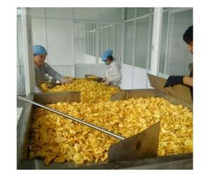 ขนมขนุนเวียดนามขนมอบแห้งขนมอบแห้งแบบพรีเมี่ยม - Product Image 1