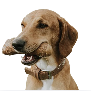 Bois de café naturel pour chien à mâcher, aide à réduire l'anxiété et l'ennui - Product Image 1