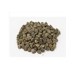 Graines de moringa en vrac pour l'extraction d'huile et les applications à base de plantes - Product Image 1