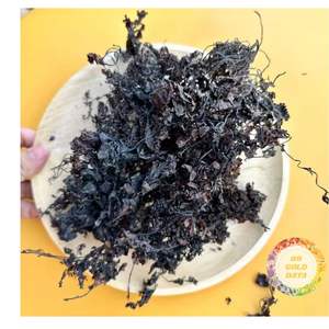Algues marines séchées naturelles du Vietnam, algues brunes pour engrais et aliments pour animaux, vente en gros - Product Image 1