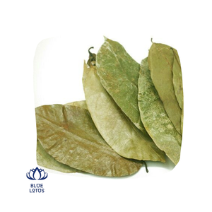 Daun Sirsak Kering