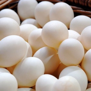 Chất Lượng Cao Cấp Bón Phân Nở Trứng Gà Tươi Trắng Nâu Gà Thịt Trứng Mua Giao Hàng Nhanh Bán Buôn Giá Rẻ Trực Tuyến - Product Image 6