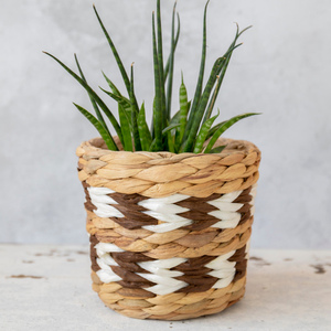 Maceta Artesanal al por Mayor, Cesta para Plantas, Macetas de Jacinto de Agua, Decoración de Jardín - Product Image 5