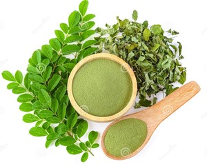 ผงมะรุม/มะรุม - Product Image 2