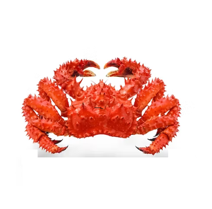 Crabe royal rouge vivant de qualité supérieure, en gros et à prix avantageux - Product Image 3