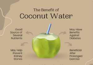 มะพร้าวอ่อนสดคุณภาพสูงจากเวียดนาม ราคาสมเหตุสมผล ผลิตภัณฑ์ทางการเกษตร - Product Image 6