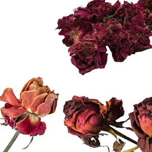 Rose rouge séchée biologique | Idéal pour les parfums naturels - Product Image 3