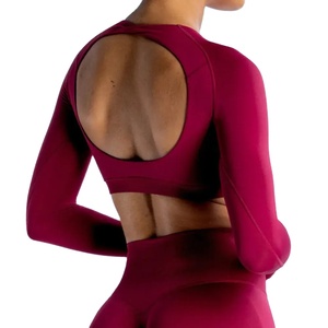 Haut court dynamique à manches longues pour femme, sexy, dos ouvert, pour yoga, entraînement, gym, sans coutures, chemise de sport 2027 - Product Image 4