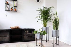 Maceta galvanizada para zonas de vegetación modernas que ofrece un fuerte soporte climático obtenido mediante el endurecimiento del zinc. - Product Image 6