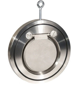 Válvula de Retención de Tipo Wafer Compacta de Hierro SG de 4 Pulgadas, Manual Integral SGI, Orientación de Asiento del Cuerpo PN-1.6, OEM de Alta Calidad, PTFE EPDM - Product Image 3