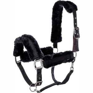 Nouveau 2025 Cheval Halter Nylon Halters PP Cheval Halters Horse Head Colliers - Product Image 4