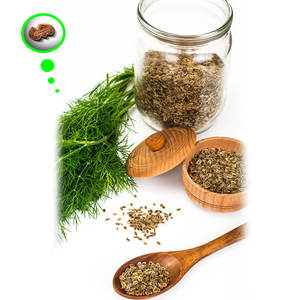 ผักชีลาว | สมุนไพรแต่งกลิ่นสำหรับปลูกในฟาร์มสำหรับคนปรุงรส - Product Image 2