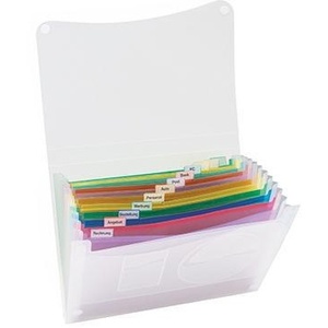 Carpeta de Archivo A4 de Polipropileno Translúcido con 13 Compartimentos, Bolsillo en Forma de Abanico, Color Neutro - Product Image 1