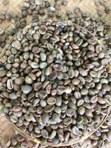 Vietnam Robusta Coffee <b>Beans</b> Size 16 A Grade 95-99% Purity Green <b>Beans</b> A Plus Quality 60kg <b>Bags</b> Bulk Supply <b>for</b> Roasting Export - Product Image 4