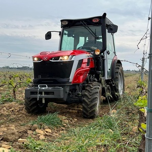 Achetez des tracteurs de qualité supérieure Massey Ferguson série MF 3700 offres de gros disponibles avec livraison rapide garantie - Product Image 3