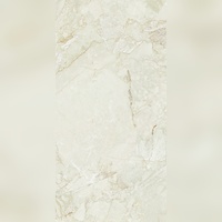Weltklasse Moderne Hochglanz-Vitrifizierte Porzellanfliesen 600x1200mm Rutschfest Langlebig für Schwimmbad Außenbereich & Badezimmer