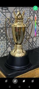 Stainless Steel Sports <b>Trophy</b> <b>Cup</b> Customized Achievement Award Display Durable Premium Quality - Product Image 5