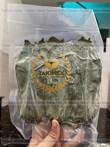 FEUILLES DE GRAVIOLA EN POUDRE DE SOURSOP/FEUILLES DE SOURSOP SÉCHÉES EN VRAC DU VIETNAM - Product Image 5