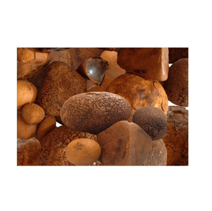 Cálculos Biliares de Buey Naturales y Puros de Primera Calidad, Cálculos Biliares de Ganado, Cálculos Biliares de Vaca, Compre Cálculos Biliares de Vaca en Venta - Product Image 3