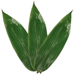 ชาใบไผ่สีเขียวแบบแห้งธรรมชาติชาสมุนไพรดอกบัวสีน้ำเงินเวียดนาม - Product Image 4